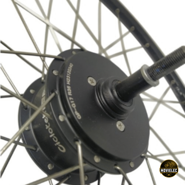 MOTOR PLATINIUM 250W TRASERO - ROSCA