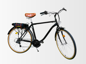 E-BIKE CLASSIC - TS250